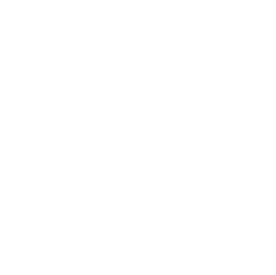 Rigueur et professionnalisme